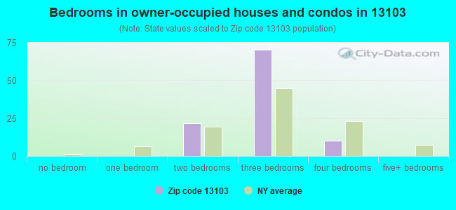 Bedrooms in owner-occupied houses and condos in 13103 