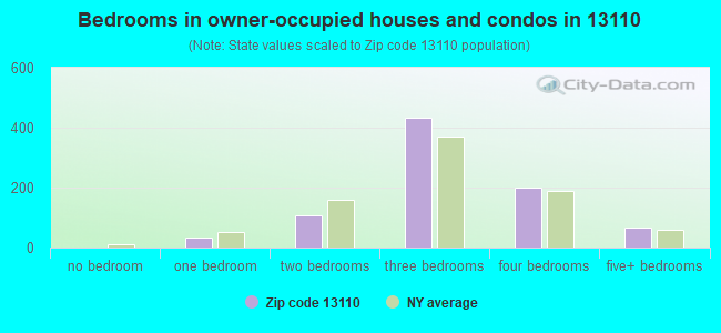 Bedrooms in owner-occupied houses and condos in 13110 