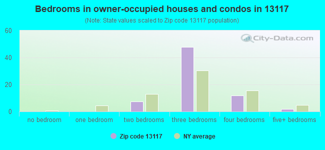 Bedrooms in owner-occupied houses and condos in 13117 