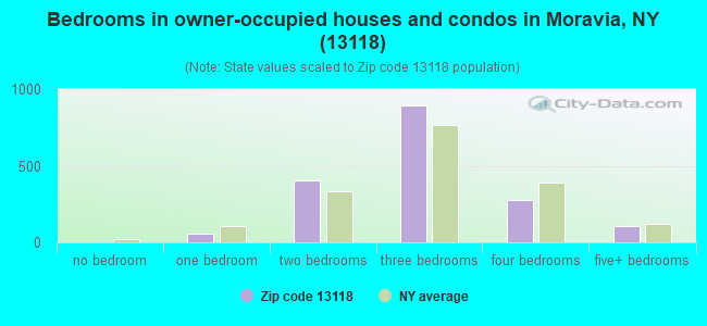 Bedrooms in owner-occupied houses and condos in Moravia, NY (13118) 