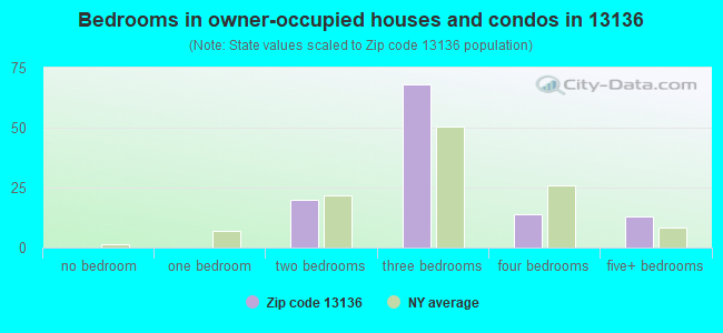 Bedrooms in owner-occupied houses and condos in 13136 