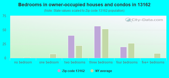 Bedrooms in owner-occupied houses and condos in 13162 