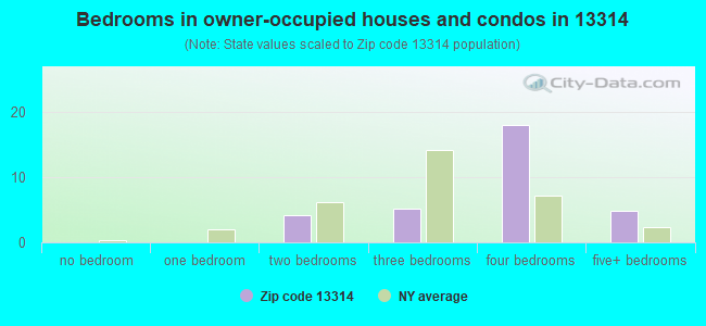 Bedrooms in owner-occupied houses and condos in 13314 