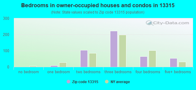 Bedrooms in owner-occupied houses and condos in 13315 