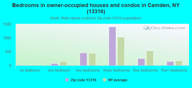 Bedrooms in owner-occupied houses and condos in Camden, NY (13316) 