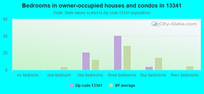 Bedrooms in owner-occupied houses and condos in 13341 