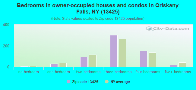 Bedrooms in owner-occupied houses and condos in Oriskany Falls, NY (13425) 