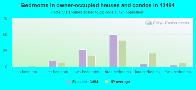 Bedrooms in owner-occupied houses and condos in 13494 