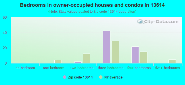Bedrooms in owner-occupied houses and condos in 13614 