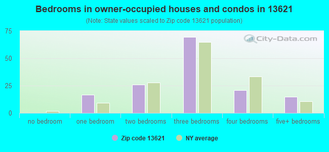 Bedrooms in owner-occupied houses and condos in 13621 