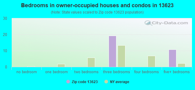 Bedrooms in owner-occupied houses and condos in 13623 