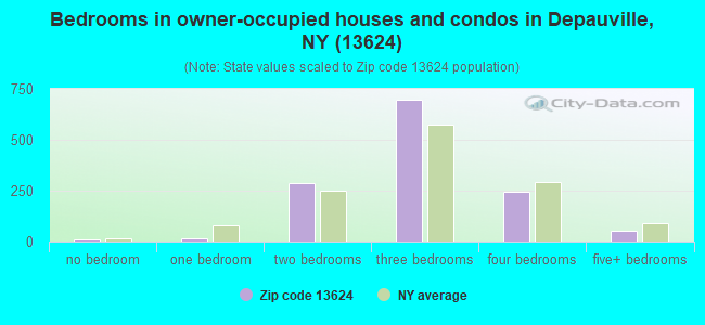 Bedrooms in owner-occupied houses and condos in Depauville, NY (13624) 