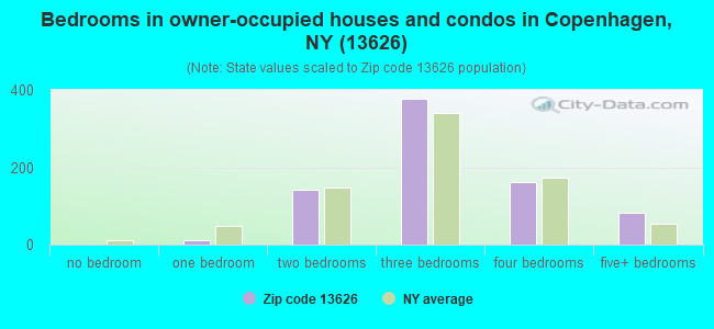 Bedrooms in owner-occupied houses and condos in Copenhagen, NY (13626) 