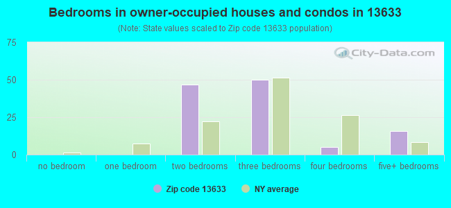 Bedrooms in owner-occupied houses and condos in 13633 