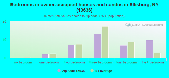 Bedrooms in owner-occupied houses and condos in Ellisburg, NY (13636) 