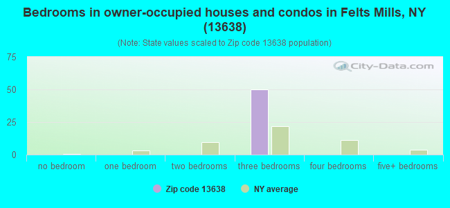 Bedrooms in owner-occupied houses and condos in Felts Mills, NY (13638) 