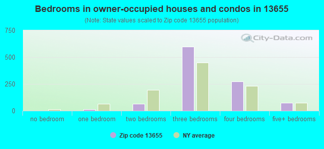 Bedrooms in owner-occupied houses and condos in 13655 