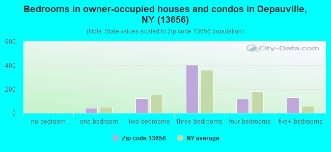 Bedrooms in owner-occupied houses and condos in Depauville, NY (13656) 