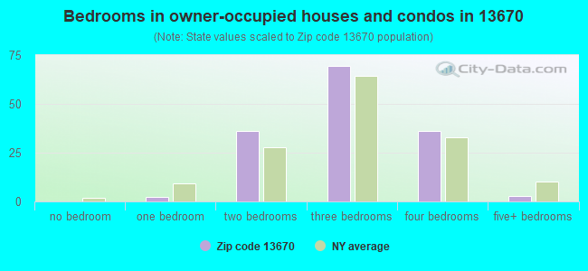 Bedrooms in owner-occupied houses and condos in 13670 
