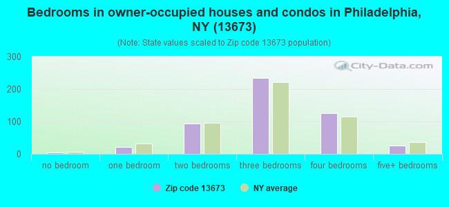 Bedrooms in owner-occupied houses and condos in Philadelphia, NY (13673) 