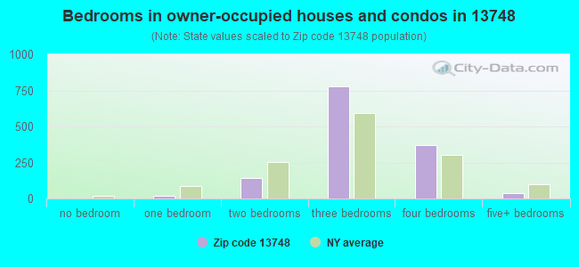 Bedrooms in owner-occupied houses and condos in 13748 