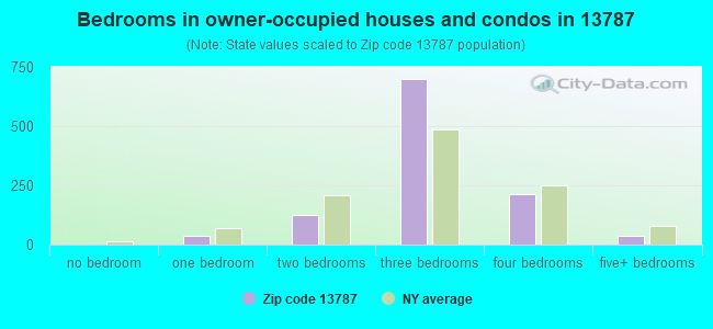 Bedrooms in owner-occupied houses and condos in 13787 