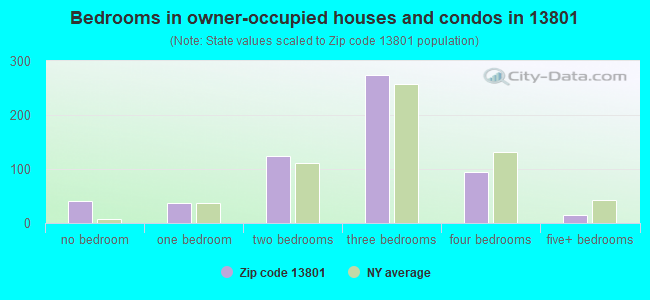 Bedrooms in owner-occupied houses and condos in 13801 