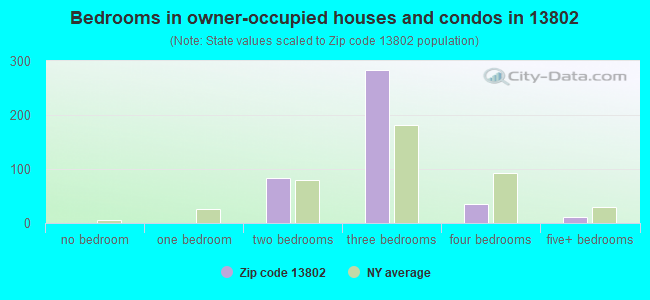 Bedrooms in owner-occupied houses and condos in 13802 