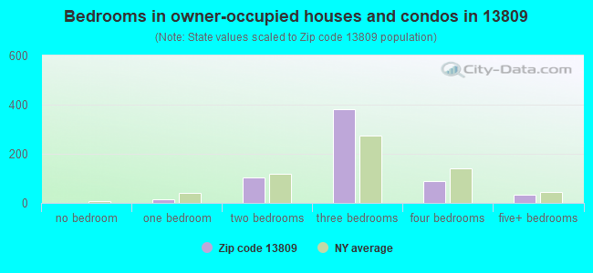 Bedrooms in owner-occupied houses and condos in 13809 