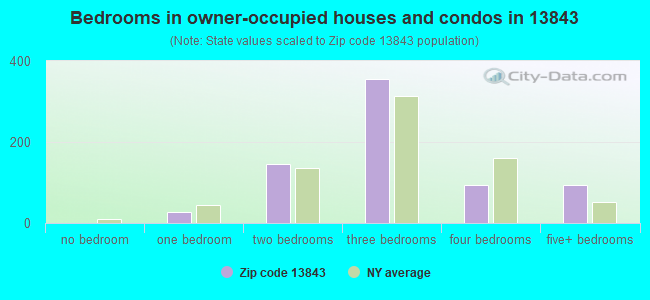 Bedrooms in owner-occupied houses and condos in 13843 