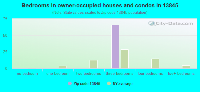 Bedrooms in owner-occupied houses and condos in 13845 