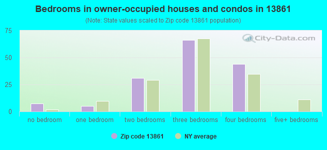 Bedrooms in owner-occupied houses and condos in 13861 