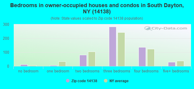 Bedrooms in owner-occupied houses and condos in South Dayton, NY (14138) 