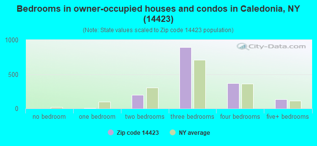 Bedrooms in owner-occupied houses and condos in Caledonia, NY (14423) 