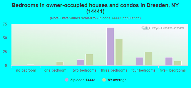 Bedrooms in owner-occupied houses and condos in Dresden, NY (14441) 