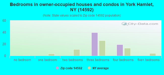 Bedrooms in owner-occupied houses and condos in York Hamlet, NY (14592) 