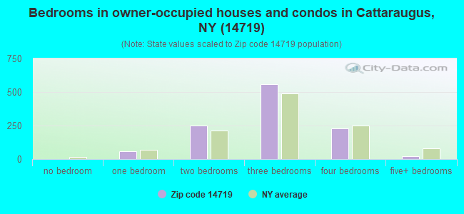 Bedrooms in owner-occupied houses and condos in Cattaraugus, NY (14719) 