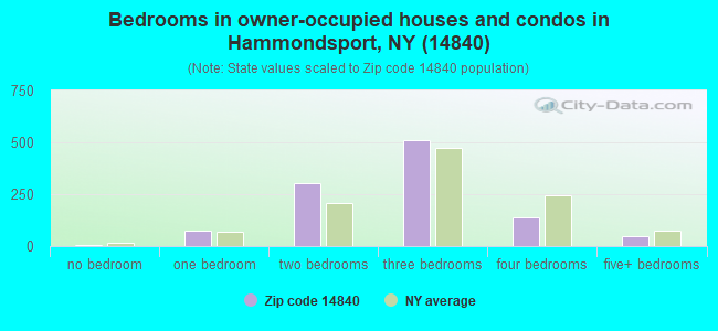 Bedrooms in owner-occupied houses and condos in Hammondsport, NY (14840) 