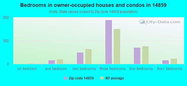Bedrooms in owner-occupied houses and condos in 14859 
