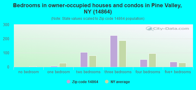 Bedrooms in owner-occupied houses and condos in Pine Valley, NY (14864) 