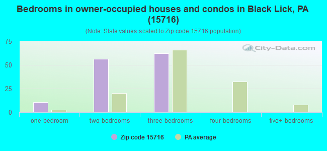 Bedrooms in owner-occupied houses and condos in Black Lick, PA (15716) 