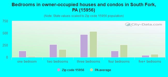 Bedrooms in owner-occupied houses and condos in South Fork, PA (15956) 