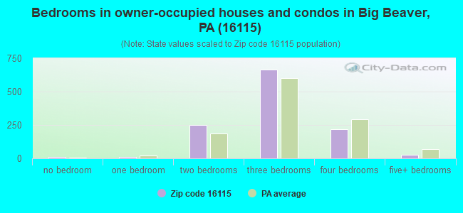 Bedrooms in owner-occupied houses and condos in Big Beaver, PA (16115) 