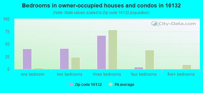 Bedrooms in owner-occupied houses and condos in 16132 
