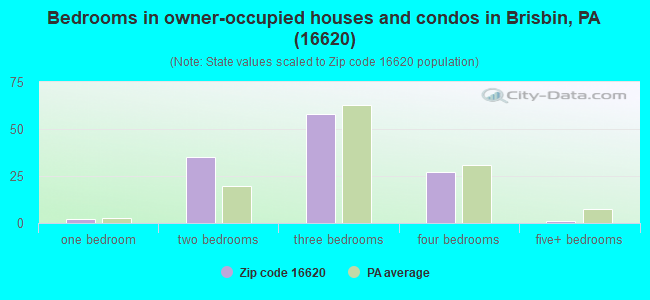 Bedrooms in owner-occupied houses and condos in Brisbin, PA (16620) 