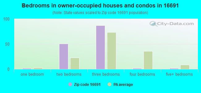 Bedrooms in owner-occupied houses and condos in 16691 