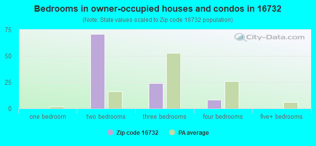 Bedrooms in owner-occupied houses and condos in 16732 
