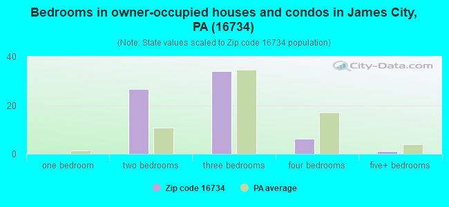 Bedrooms in owner-occupied houses and condos in James City, PA (16734) 