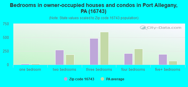 Bedrooms in owner-occupied houses and condos in Port Allegany, PA (16743) 