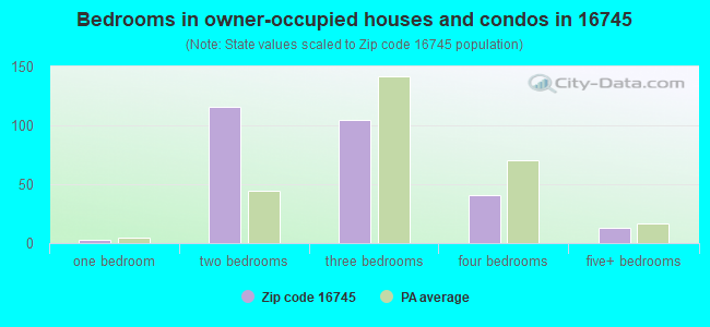 Bedrooms in owner-occupied houses and condos in 16745 